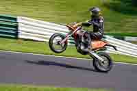 Lower Group Orange Bikes